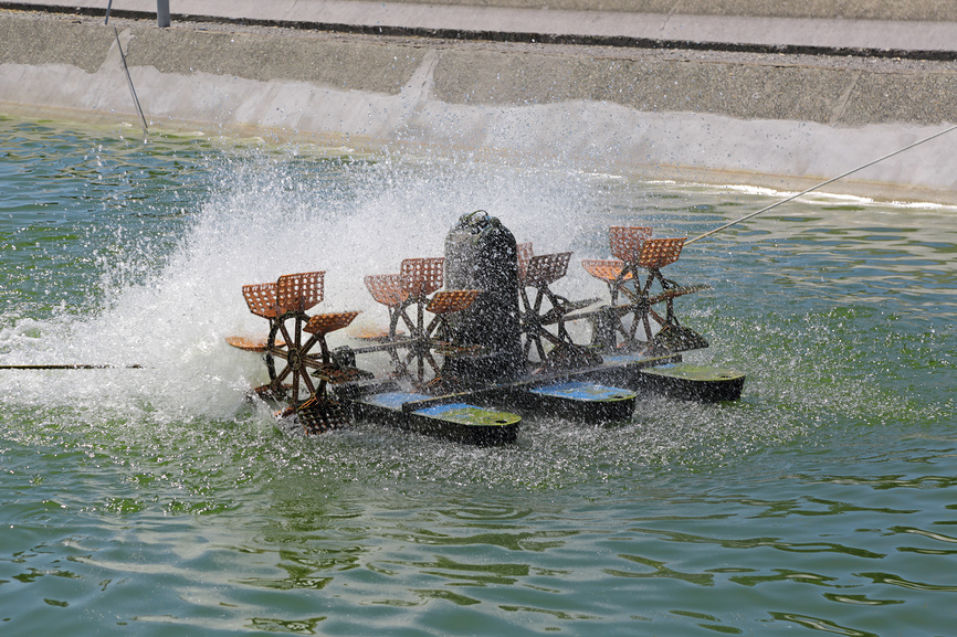 lori-0016094263-bigwww.jpg
