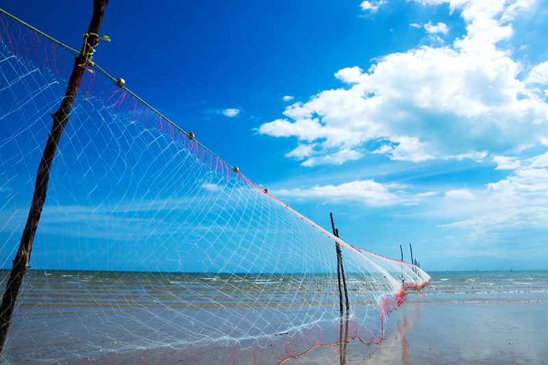Виды рыбацких сетей – трехстенные сети