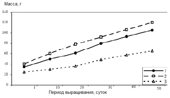 период выращивания.jpg